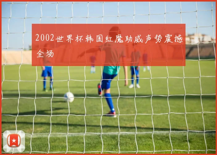2002世界杯韩国红魔助威声势震撼全场